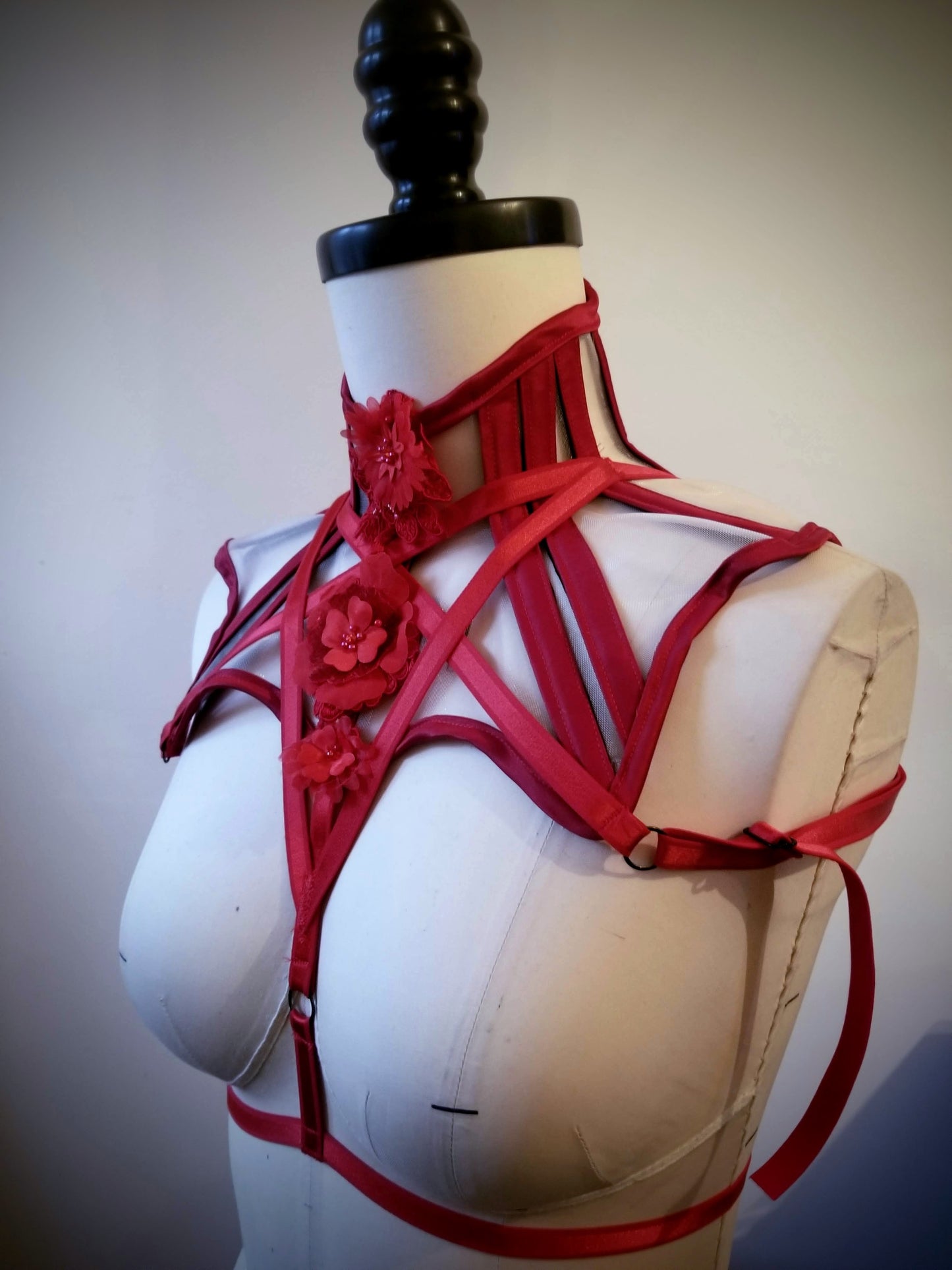 Molly - Sheer Posture Collar Harness