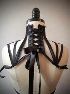 Molly - Sheer Posture Collar Harness